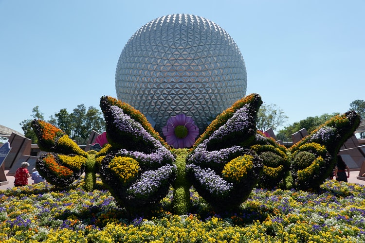 #101. Disney World (Monday, August 25, 2003)